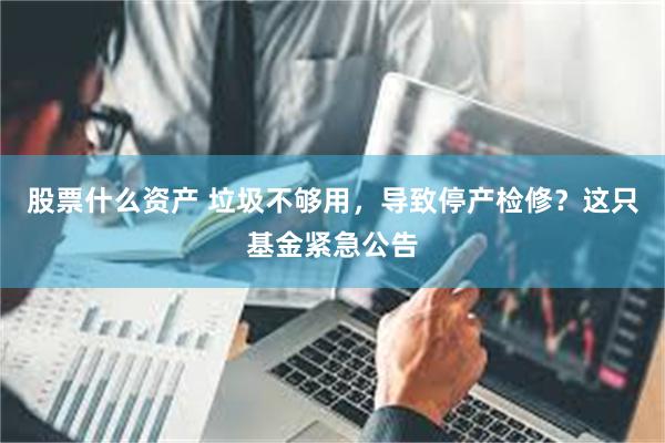 股票什么资产 垃圾不够用，导致停产检修？这只基金紧急公告