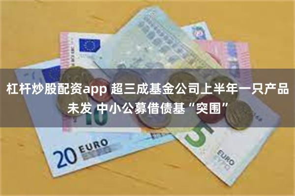 杠杆炒股配资app 超三成基金公司上半年一只产品未发 中小公募借债基“突围”