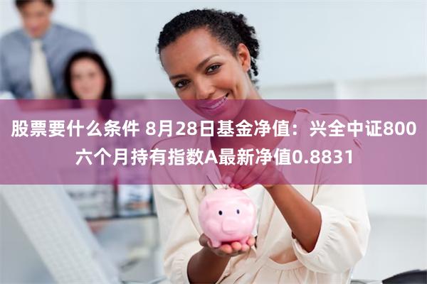 股票要什么条件 8月28日基金净值：兴全中证800六个月持有指数A最新净值0.8831