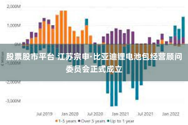 股票股市平台 江苏宗申·比亚迪锂电池包经营顾问委员会正式成立