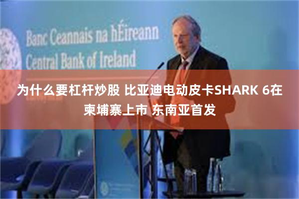 为什么要杠杆炒股 比亚迪电动皮卡SHARK 6在柬埔寨上市 东南亚首发