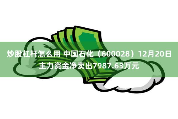 炒股杠杆怎么用 中国石化（600028）12月20日主力资金净卖出7987.63万元