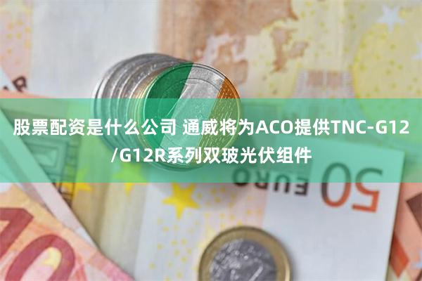 股票配资是什么公司 通威将为ACO提供TNC-G12/G12R系列双玻光伏组件